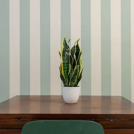 Blue Apartman *